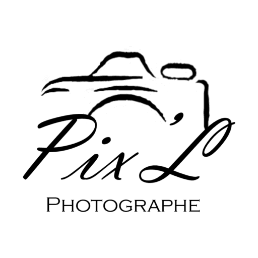Logo noir PixL Photographe Ain